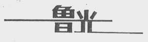 鲁光