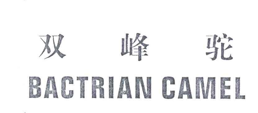 双峰驼;BACTRIAN CAMEL