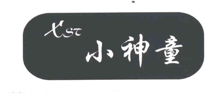 小神童XST
