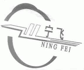 宁飞