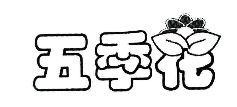 五季花