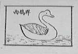 西鹅