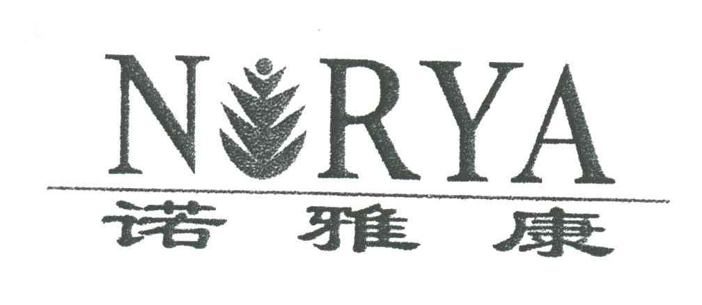 诺雅康;N RYA