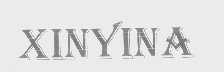 XINYINA