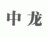 中龙