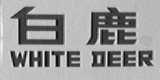白鹿