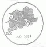 AO MEI