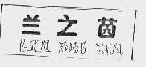 兰之茵