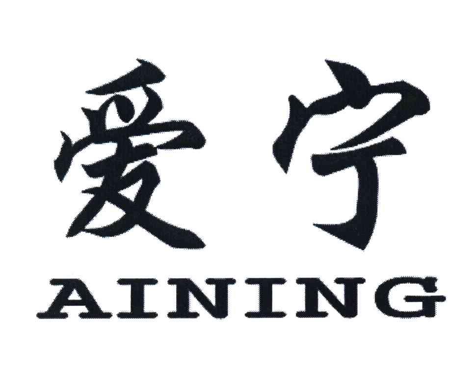 爱宁
