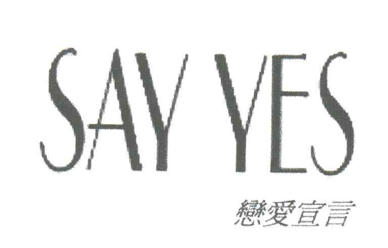 恋爱宣言;SAY YES