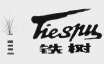 铁树