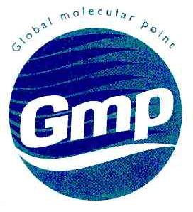 GLOBAL MOLECULAR POINT;GMP