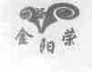金阳荣