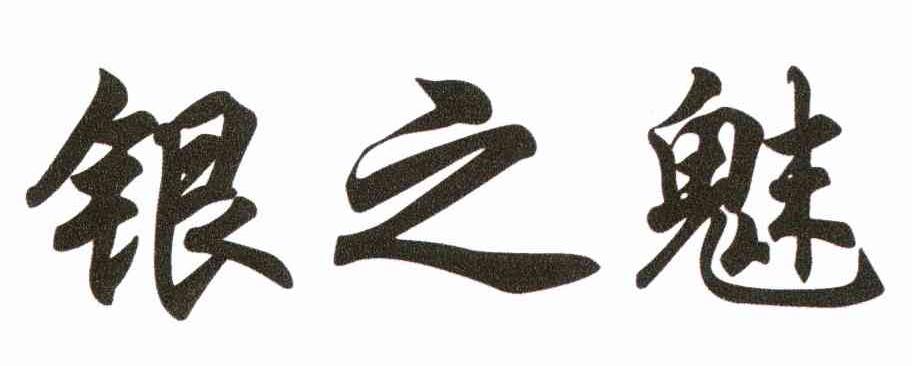 银之魅