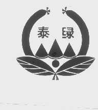 泰绿