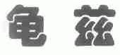 龟兹