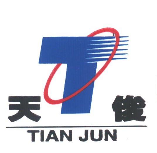 天俊