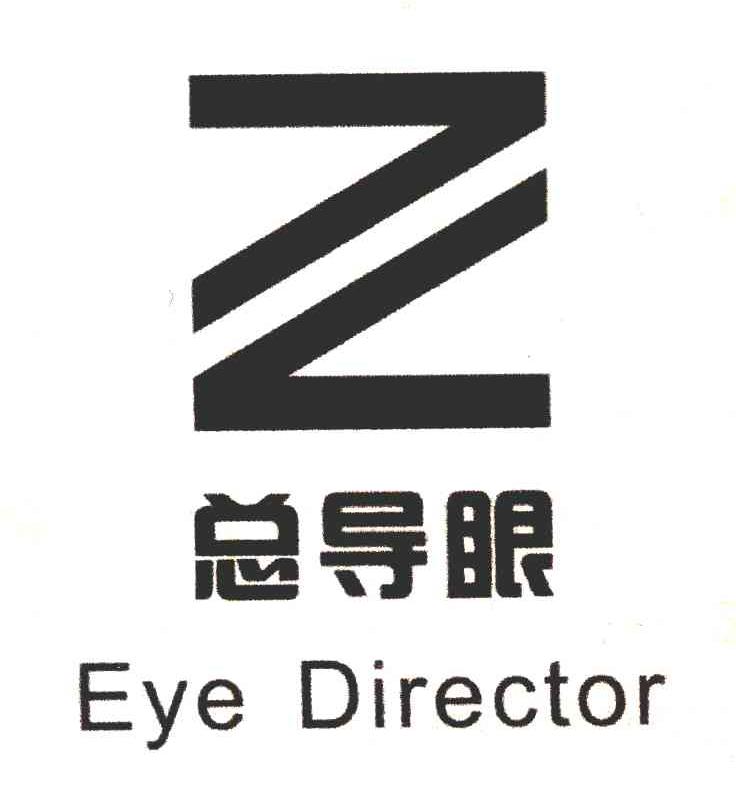 总导眼 EYE DIRECTOR
