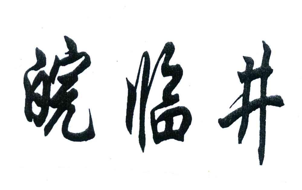 皖临井