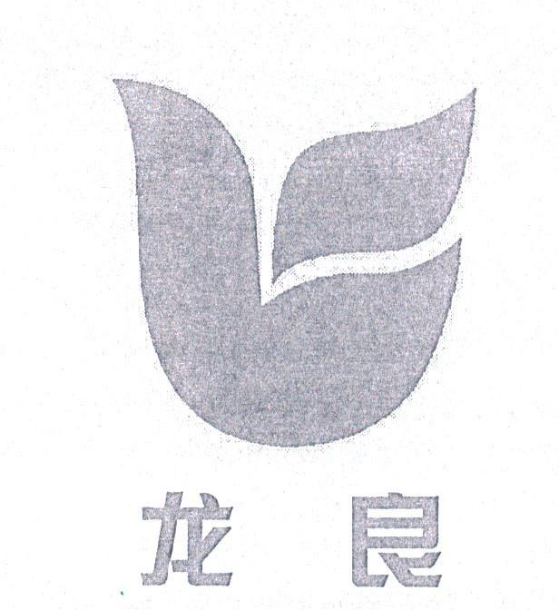 龙良