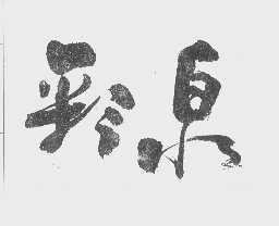 彩泉