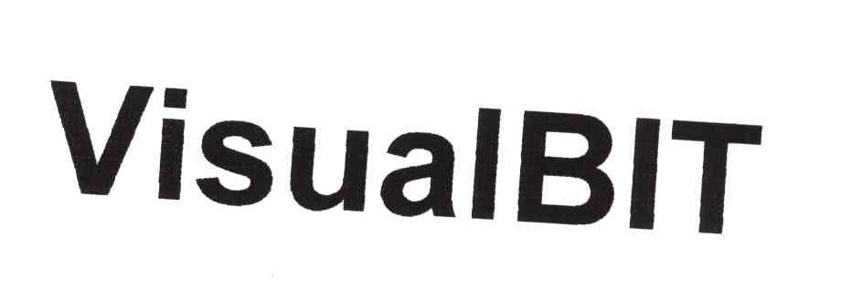 VISUAL BIT