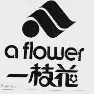 一枝花  A FLOWER
