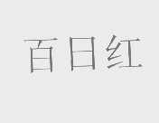 百日红