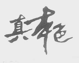 真本色
