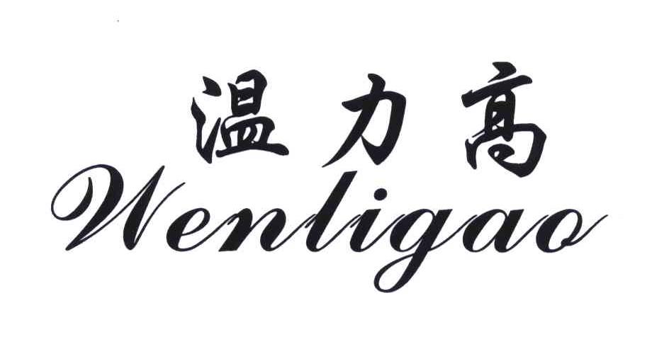 温力高