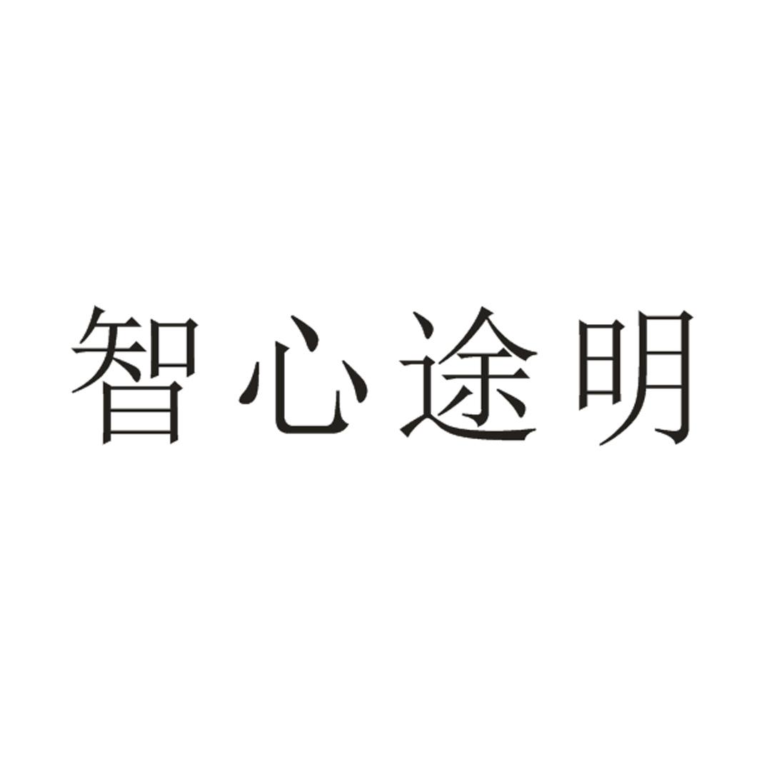 智心途明