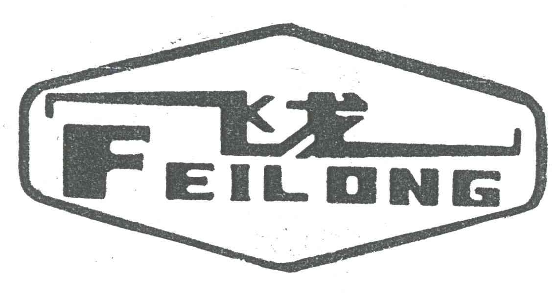 飞龙