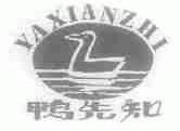 鸭先知