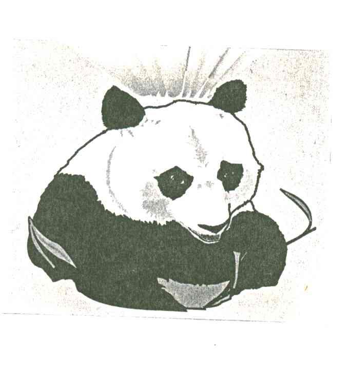 图形