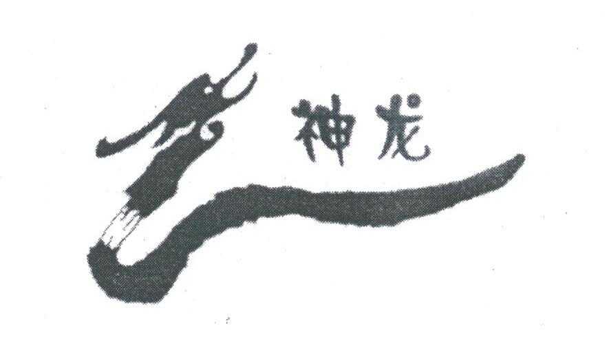 神龙