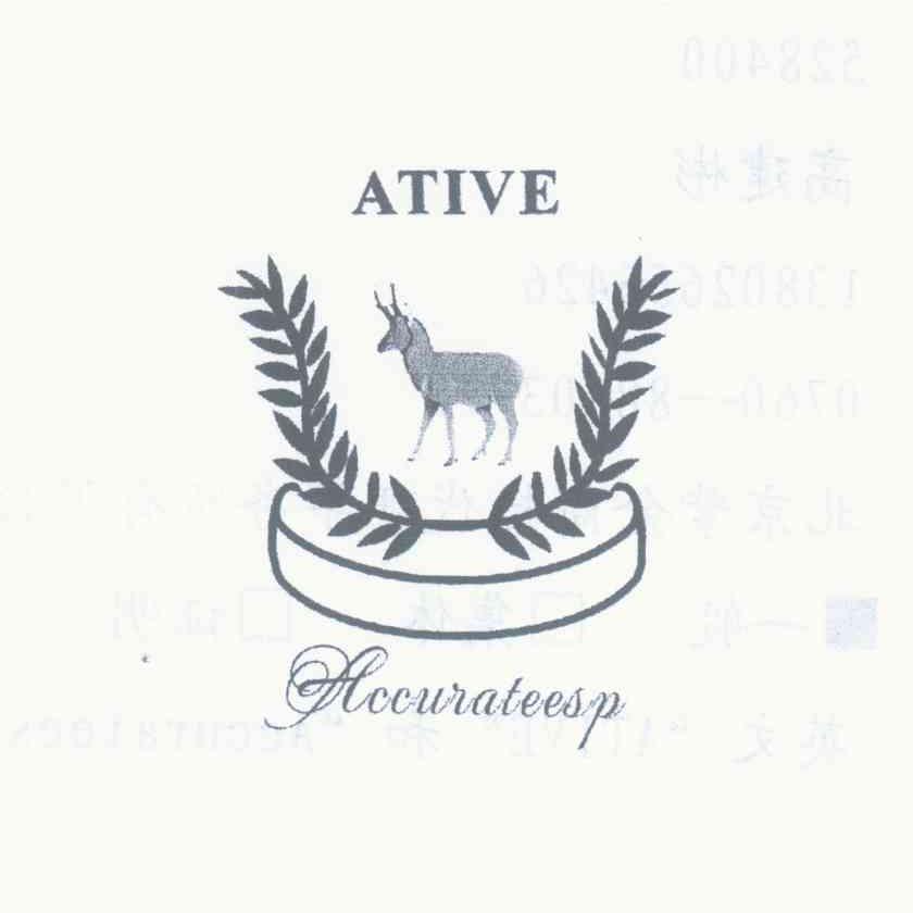 ATIVE ACCURATEESP