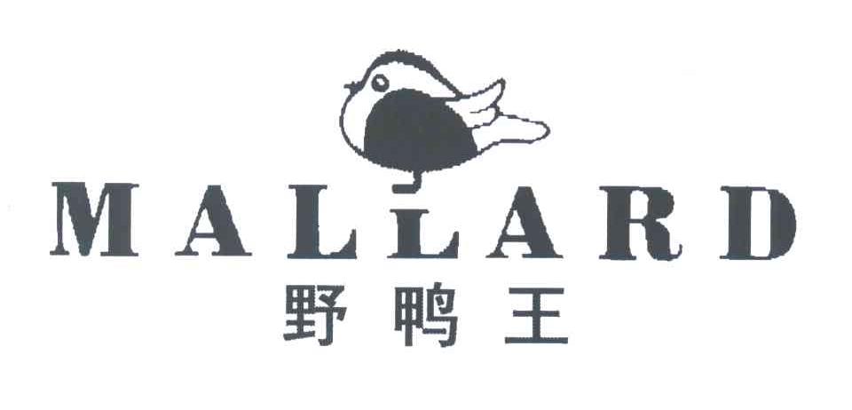野鸭王;MALLARD