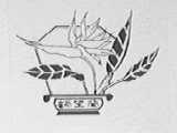 鹤望兰