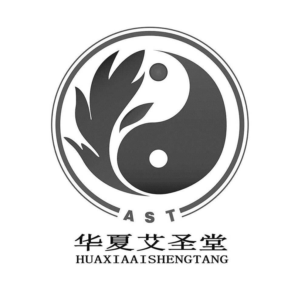 华夏艾圣堂 AST