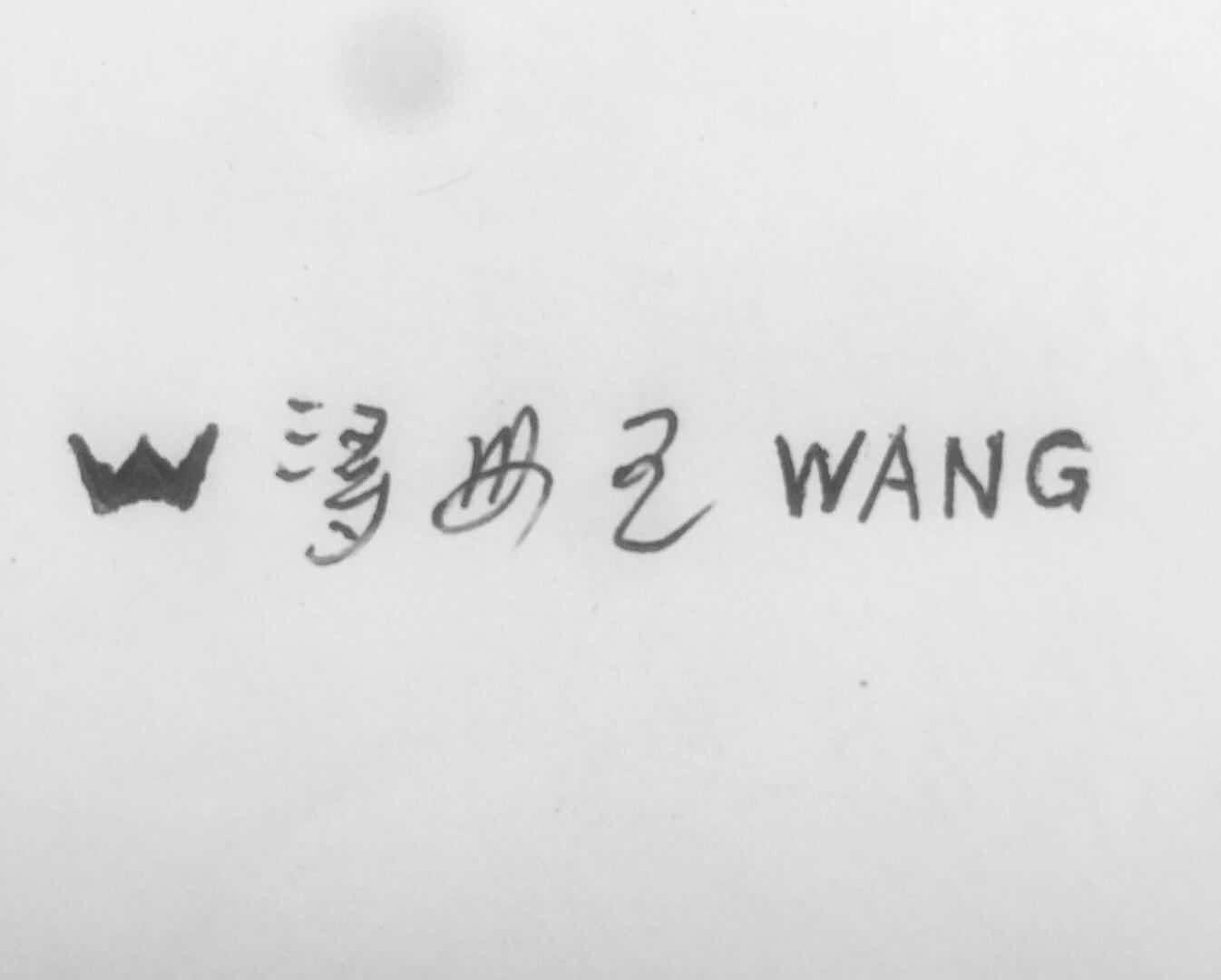 浔州王 WANG