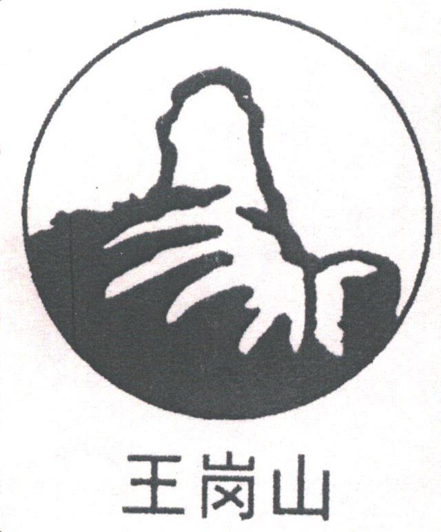 王岗山