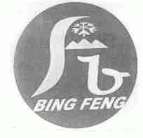 BING FENG