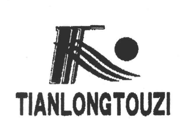TIANLONGTOUZI