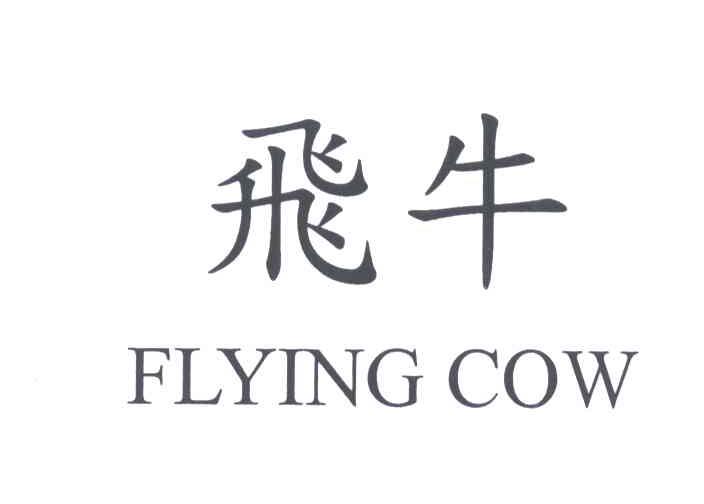 飞牛