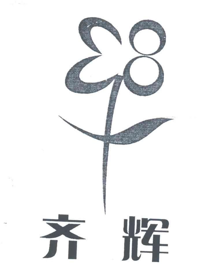 齐辉