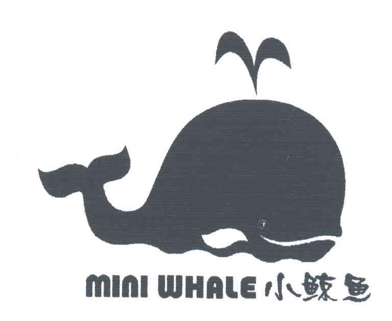 小鲸鱼;MINI WHALE