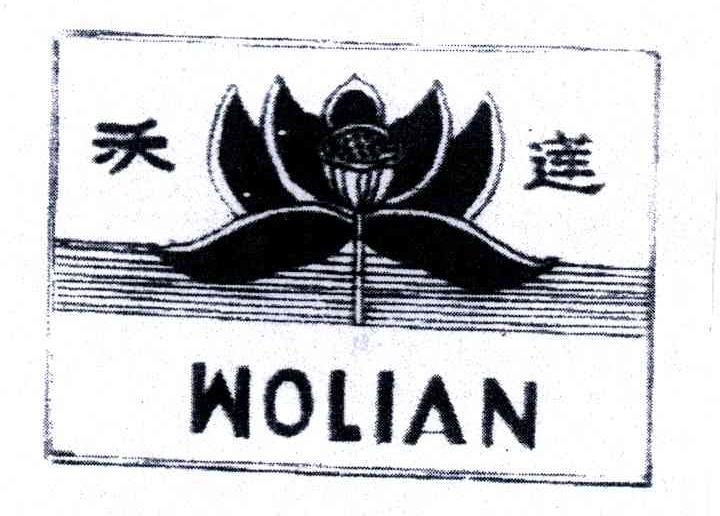 沃莲