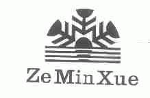 ZEMINXUE