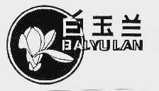 白玉兰