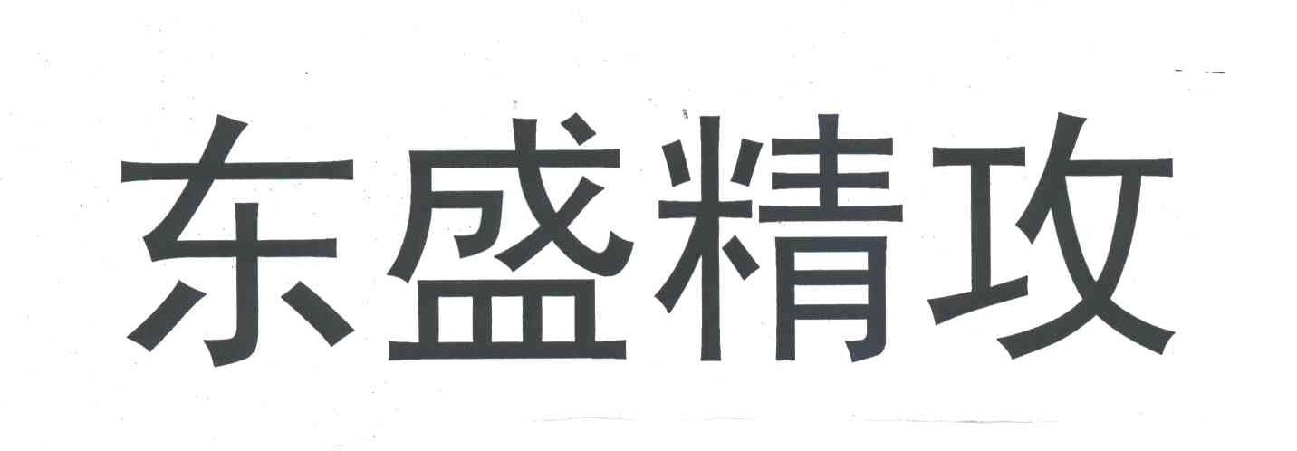 东盛精攻